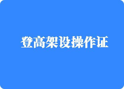 欧美啪啪啪鸡逼视频登高架设操作证